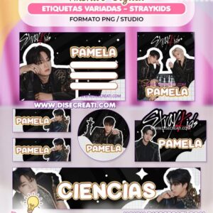 ETIQUETAS STRAYKIDS